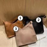 Longchamp Le Foulonne M Hobo Bag