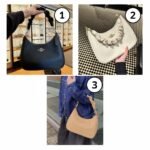 Coach Teri Hobo Bag