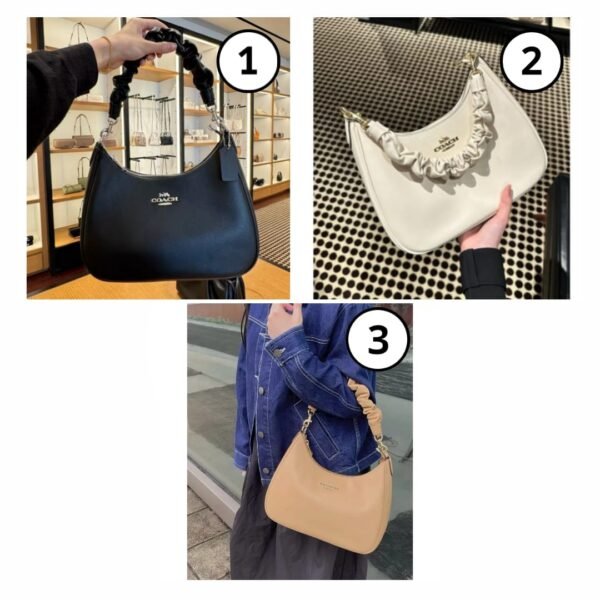 Coach Teri Hobo Bag
