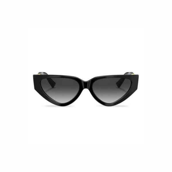 Valentino Va 4063 Sunglasses
