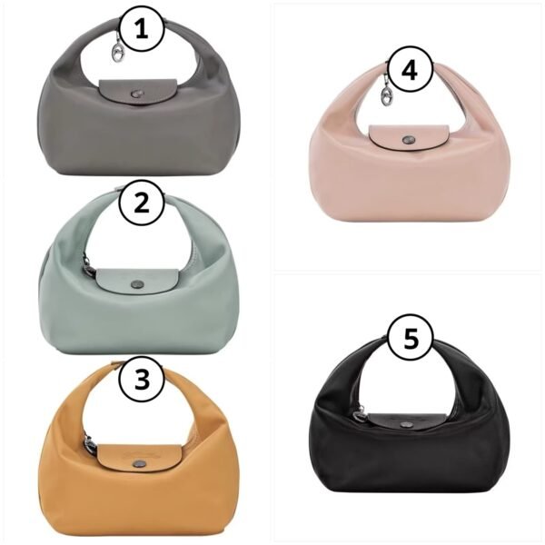 Longchamp Le Pliage XTRA XS Handbag