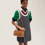 Miu Miu Arcadie leather bag