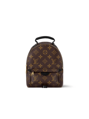 Louis Vuitton Palm Springs Backpack Size
