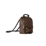 Louis Vuitton Palm Springs Backpack Size