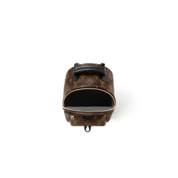Louis Vuitton Palm Springs Backpack Size