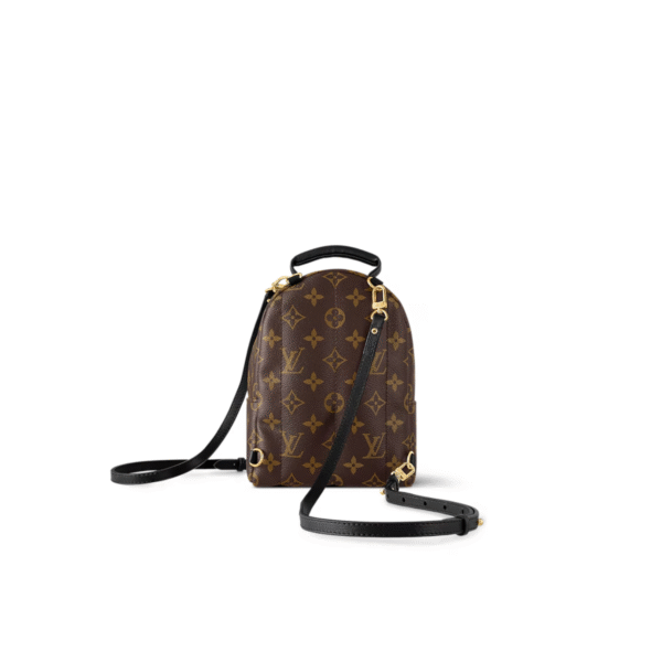 Louis Vuitton Palm Springs Backpack Size