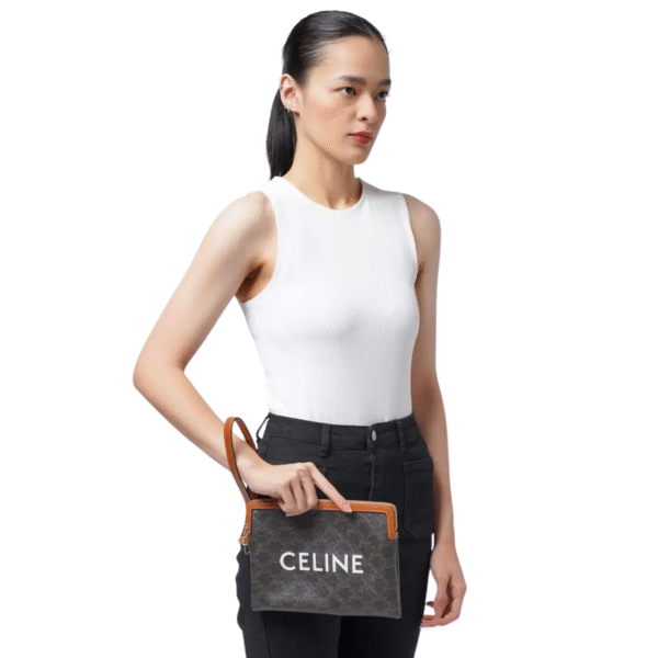 Celine Small Pouch in Triomphe Canvas With Strap Brown
