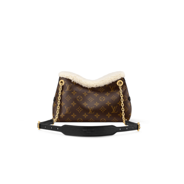 Louis Vuitton Ski CarryAll BB